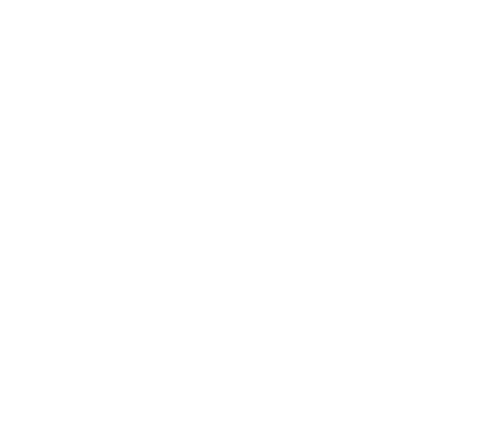 Minnt Logo White